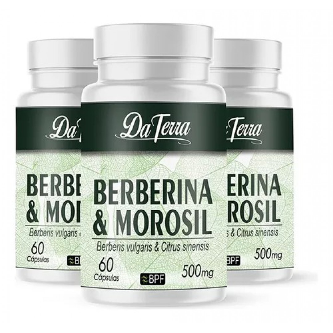 BERBERINA COM MOROSIL DA TERRA 500MG - 60 CAPS