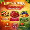 ENERGIA DA TERRA - 380 GR